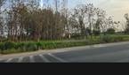 A screenshot captured on Galaxy S23 showing the Photoshop Express.