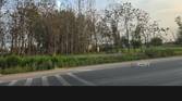 A screenshot captured on Galaxy S23 showing the Photoshop Express.