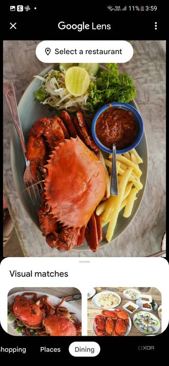 A sceenshot showing food results in Google Lens.