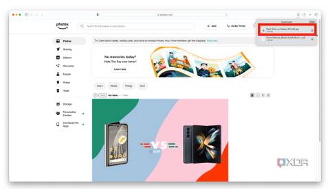 Downloaded-Image-Safari-Amazon-Photos