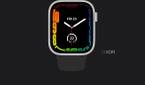 Add to my faces button after clicking a shared watch face