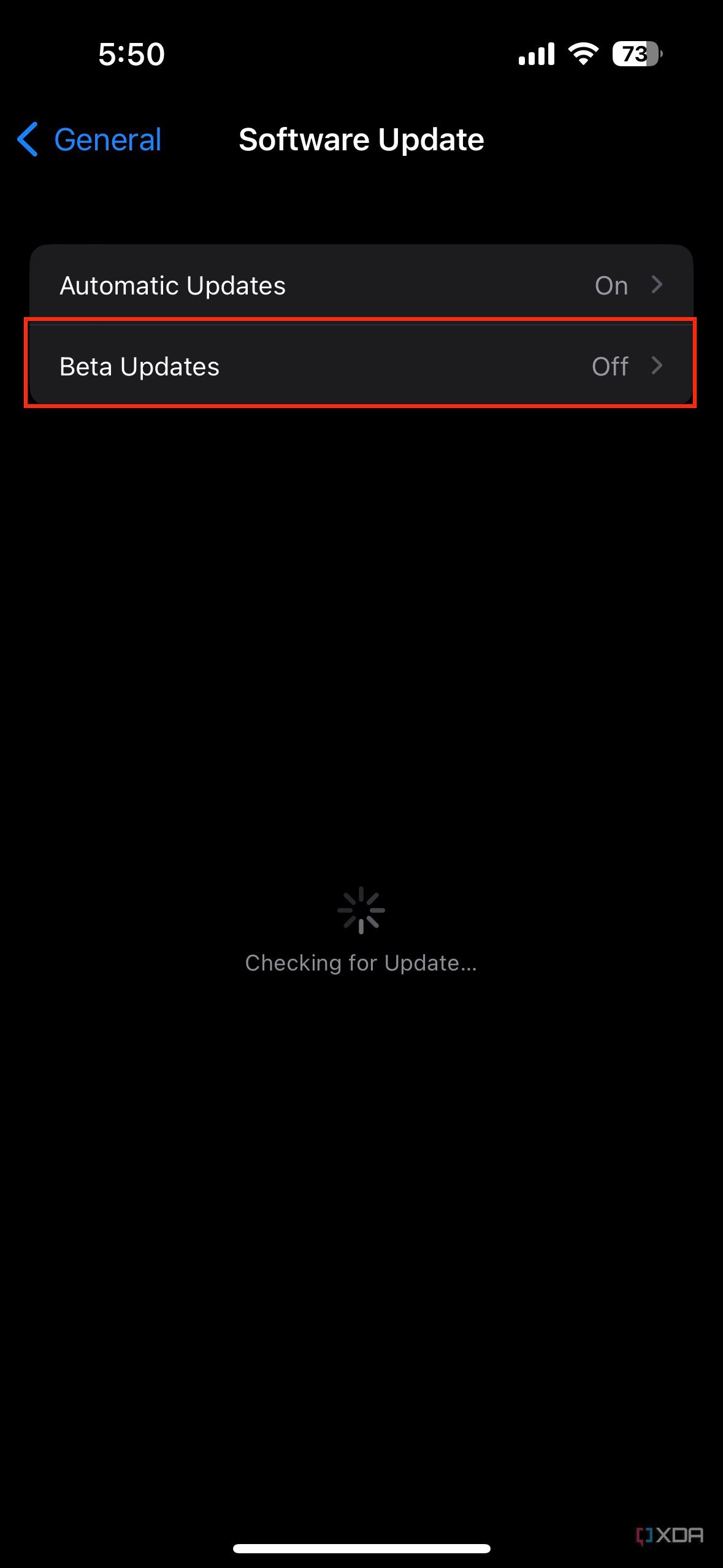 beta updates settings on iPhone