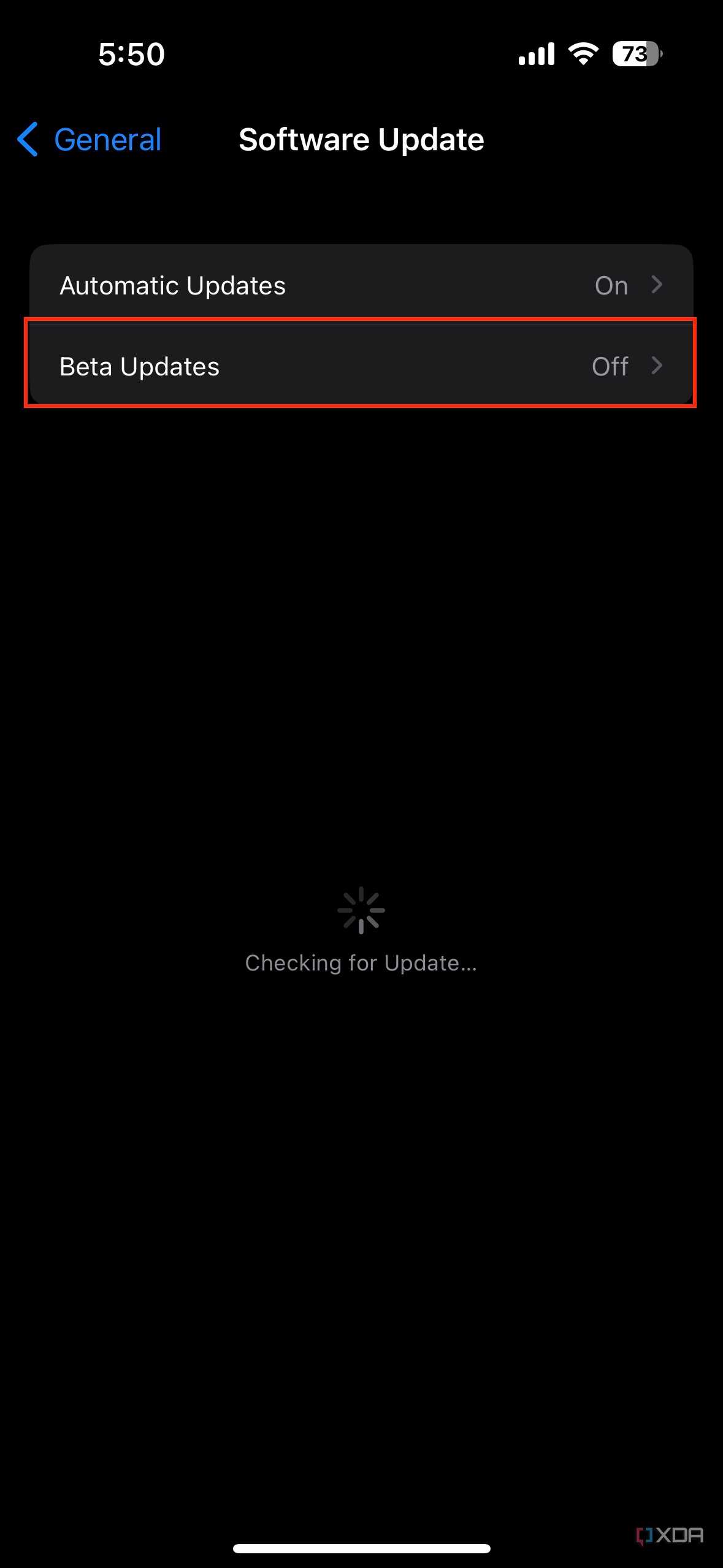beta updates settings on iPhone