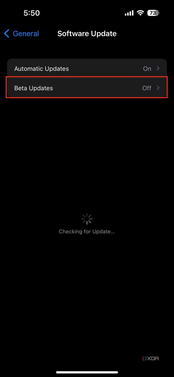 beta updates settings on iPhone