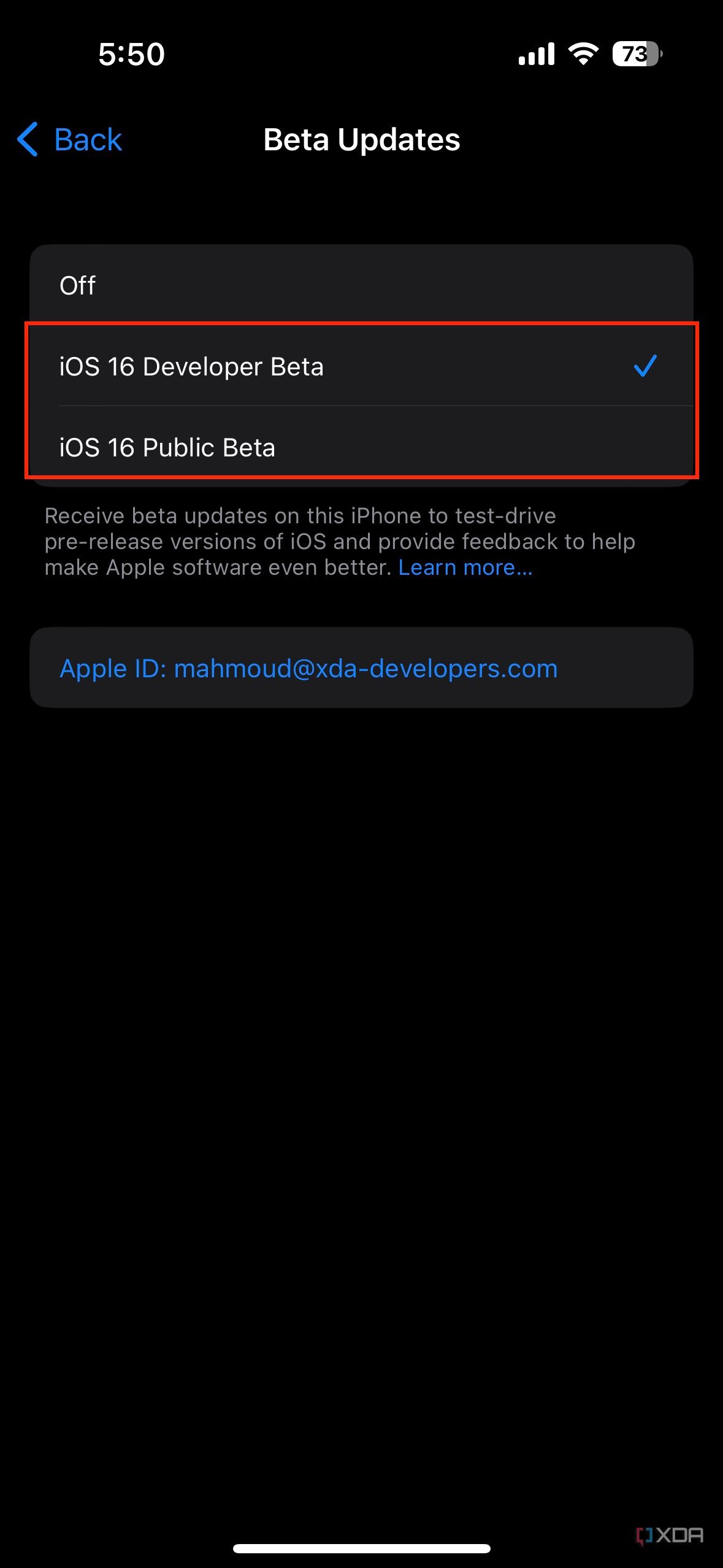iOS beta program selection on iPhone