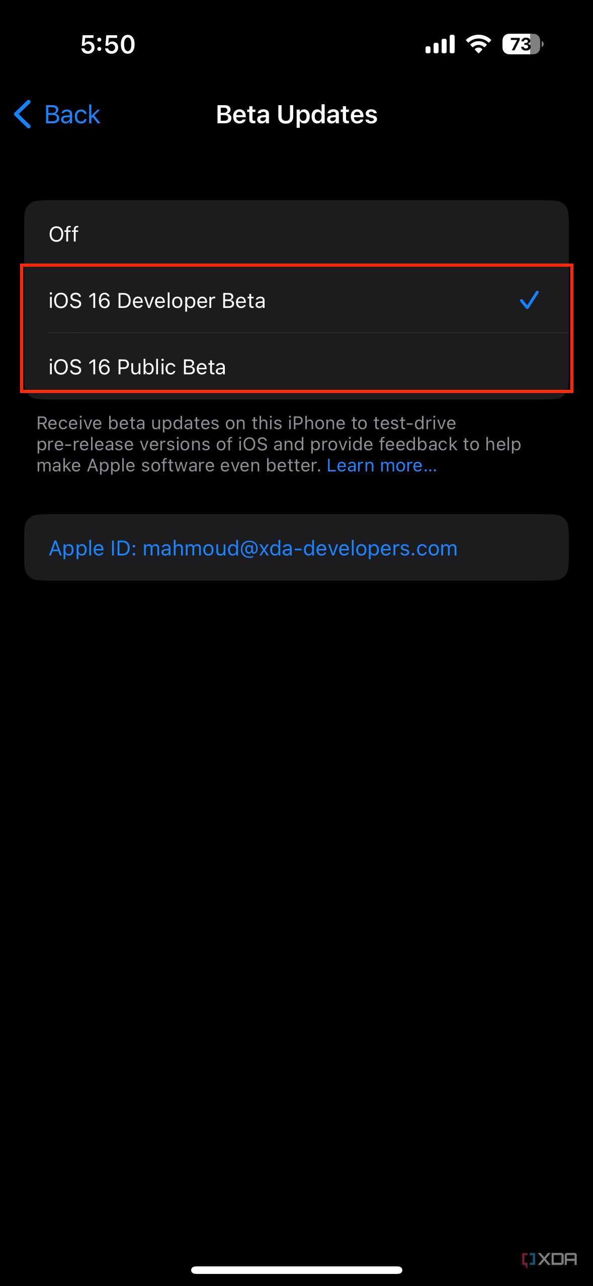 iOS beta program selection on iPhone