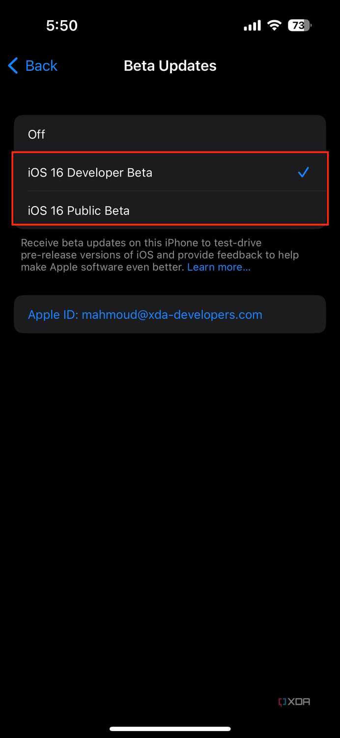 iOS beta program selection on iPhone