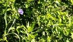 Motorola-Edge-Plus-2023-photo-sample (23)