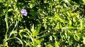 Motorola-Edge-Plus-2023-photo-sample (23)
