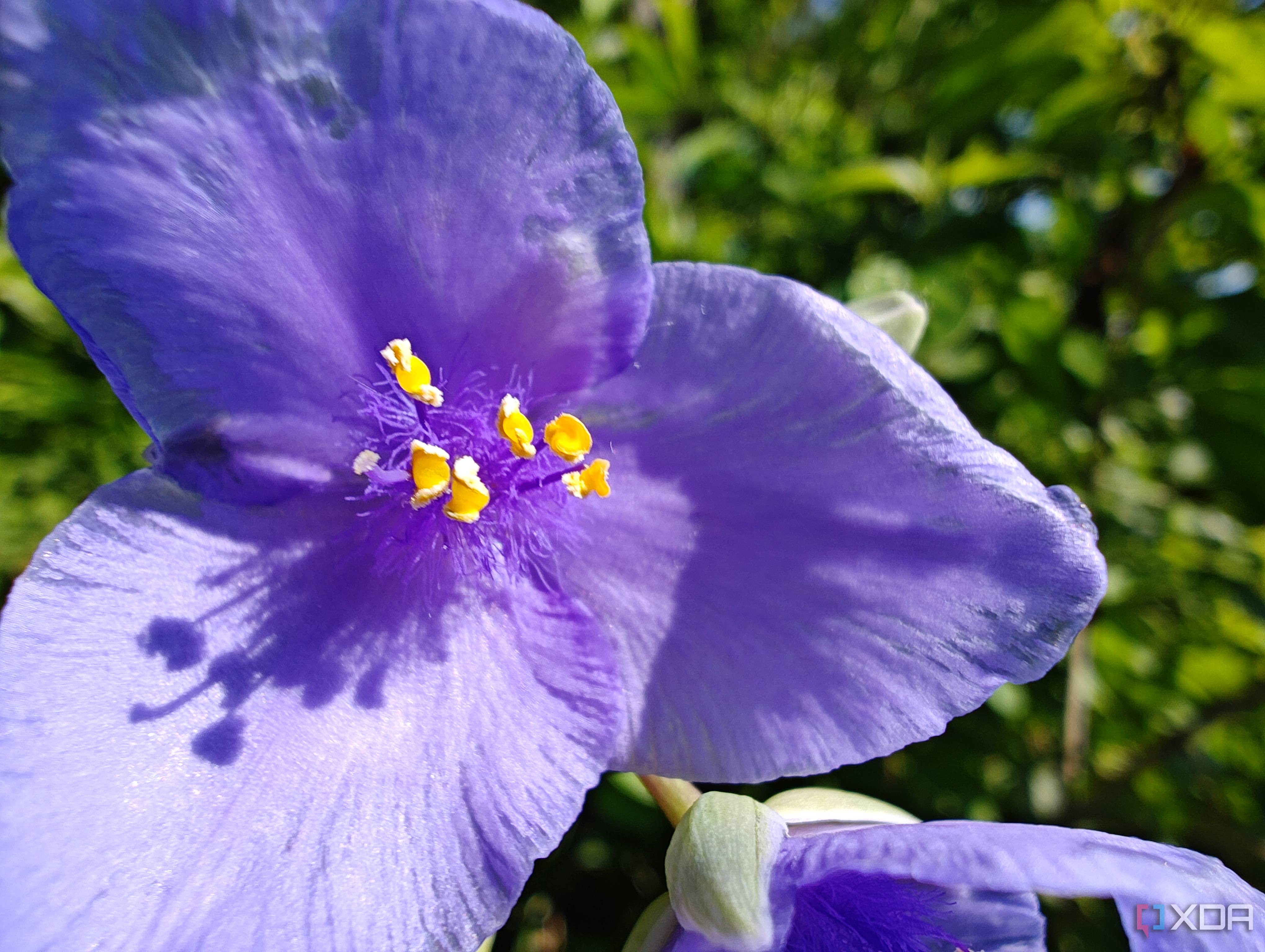 Motorola-Edge-Plus-2023-photo-sample (27)