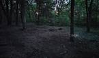 Motorola-Edge-Plus-2023-photo-sample (49)
