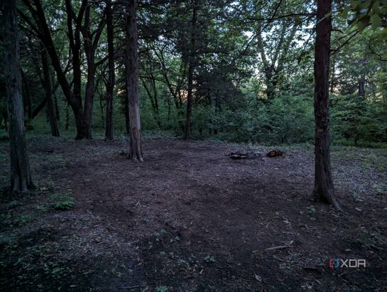 Pixel-7-Pro-photo-sample-compare-Moto-Edge+-2023 (1)
