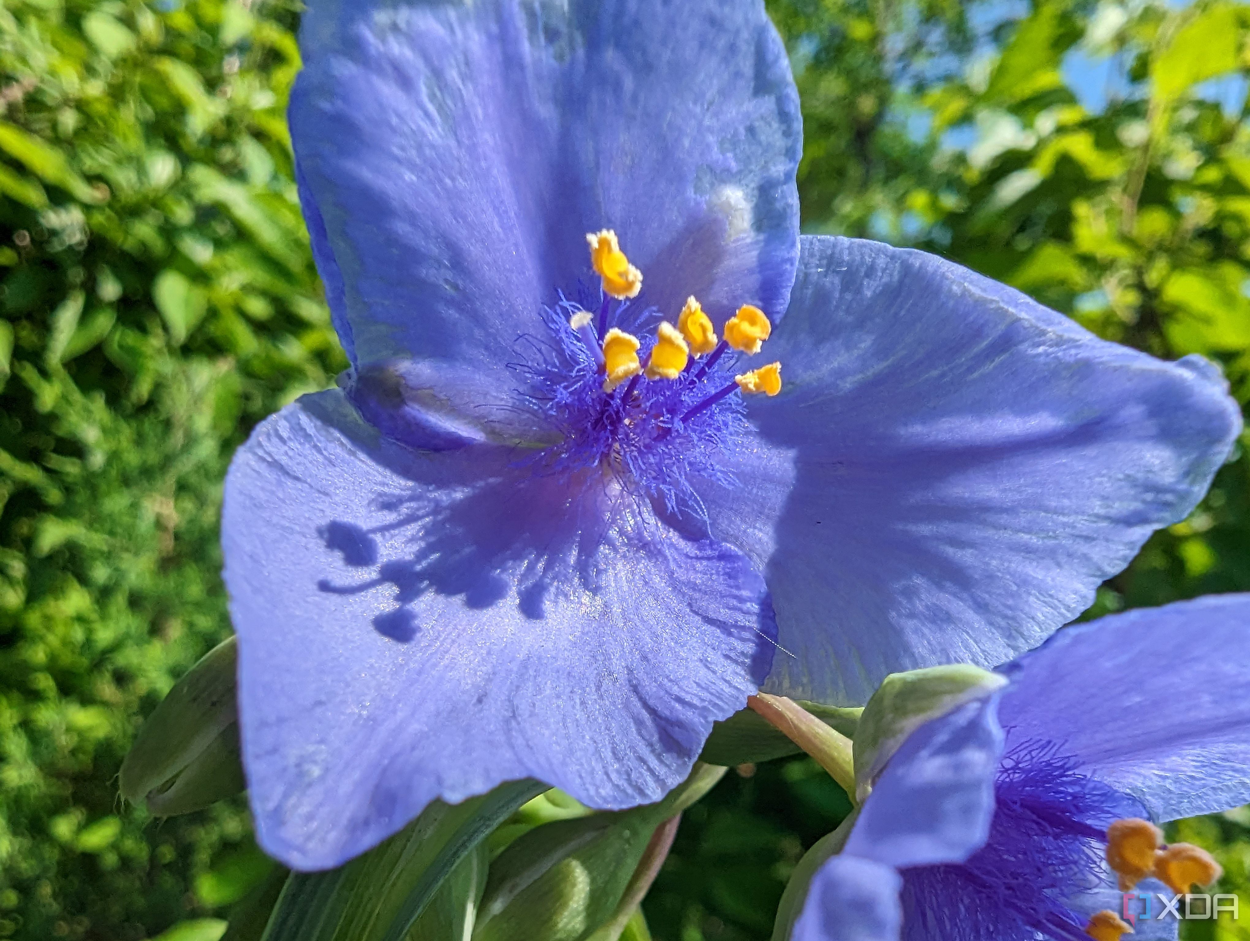 Pixel-7-Pro-photo-sample-compare-Moto-Edge+-2023 (12)