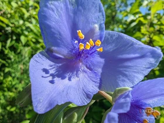 Pixel-7-Pro-photo-sample-compare-Moto-Edge+-2023 (12)