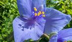 Pixel-7-Pro-photo-sample-compare-Moto-Edge+-2023 (12)