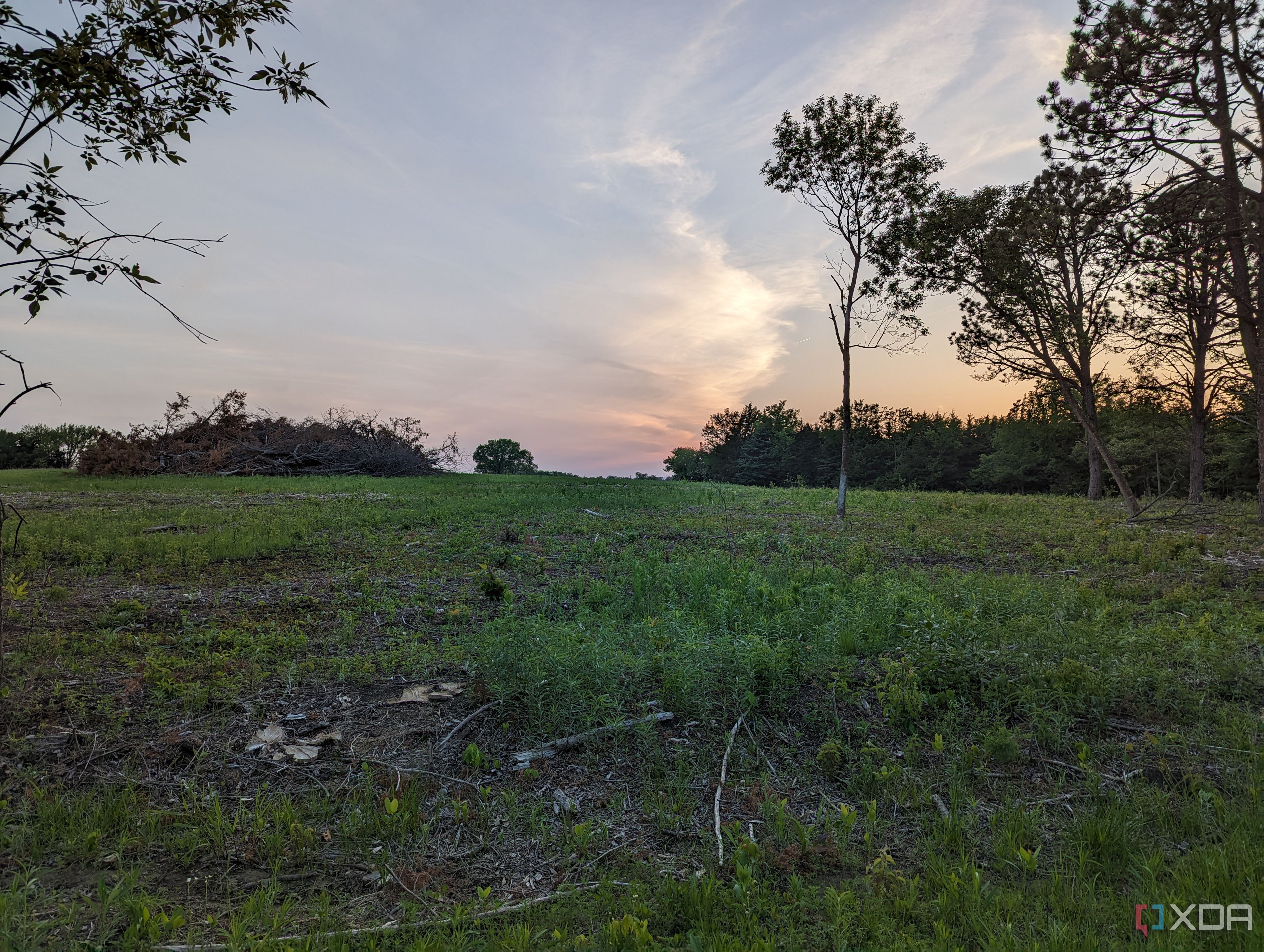 Pixel-7-Pro-photo-sample-compare-Moto-Edge+-2023 (13)
