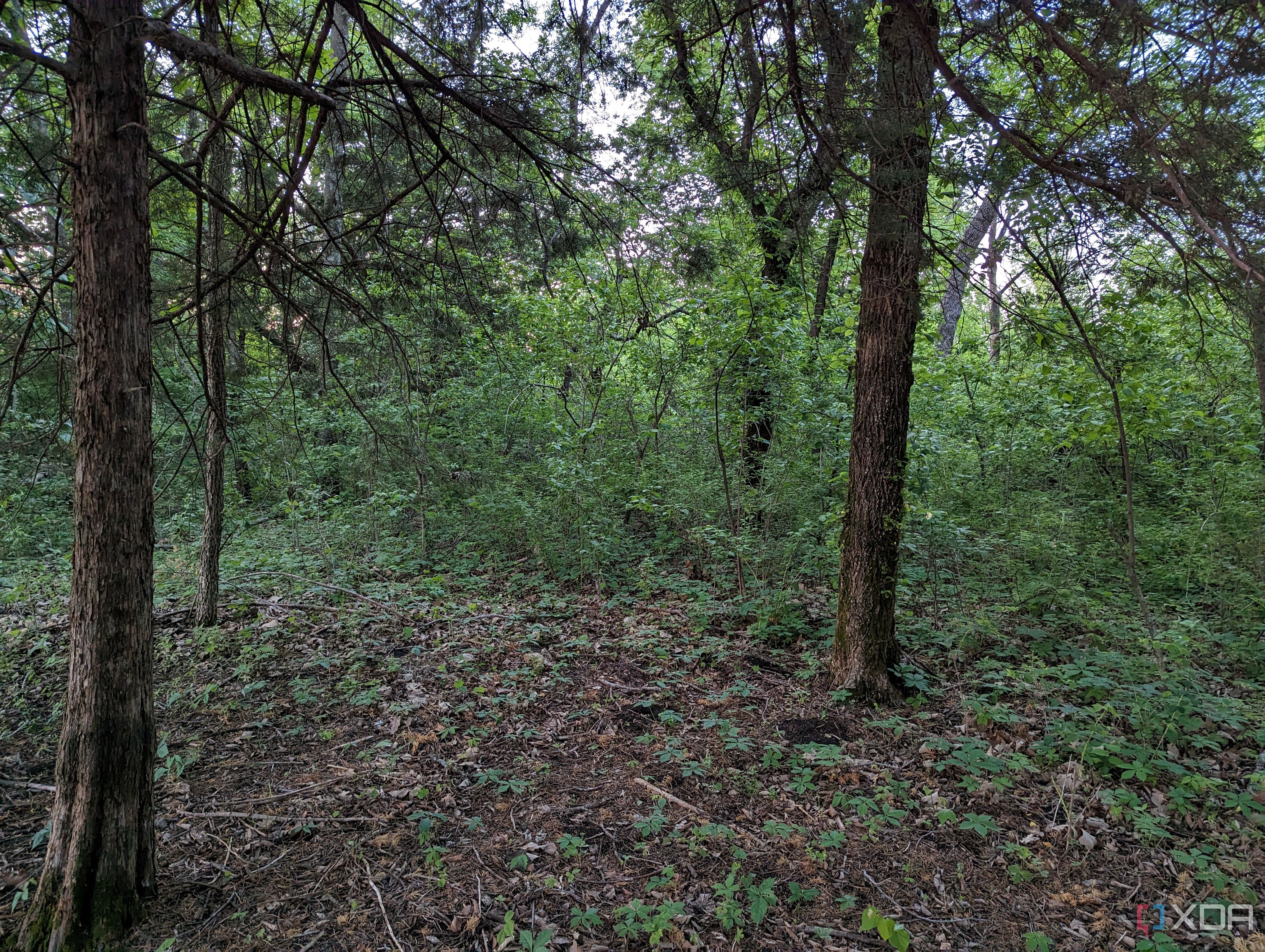 Pixel-7-Pro-photo-sample-compare-Moto-Edge+-2023 (14)