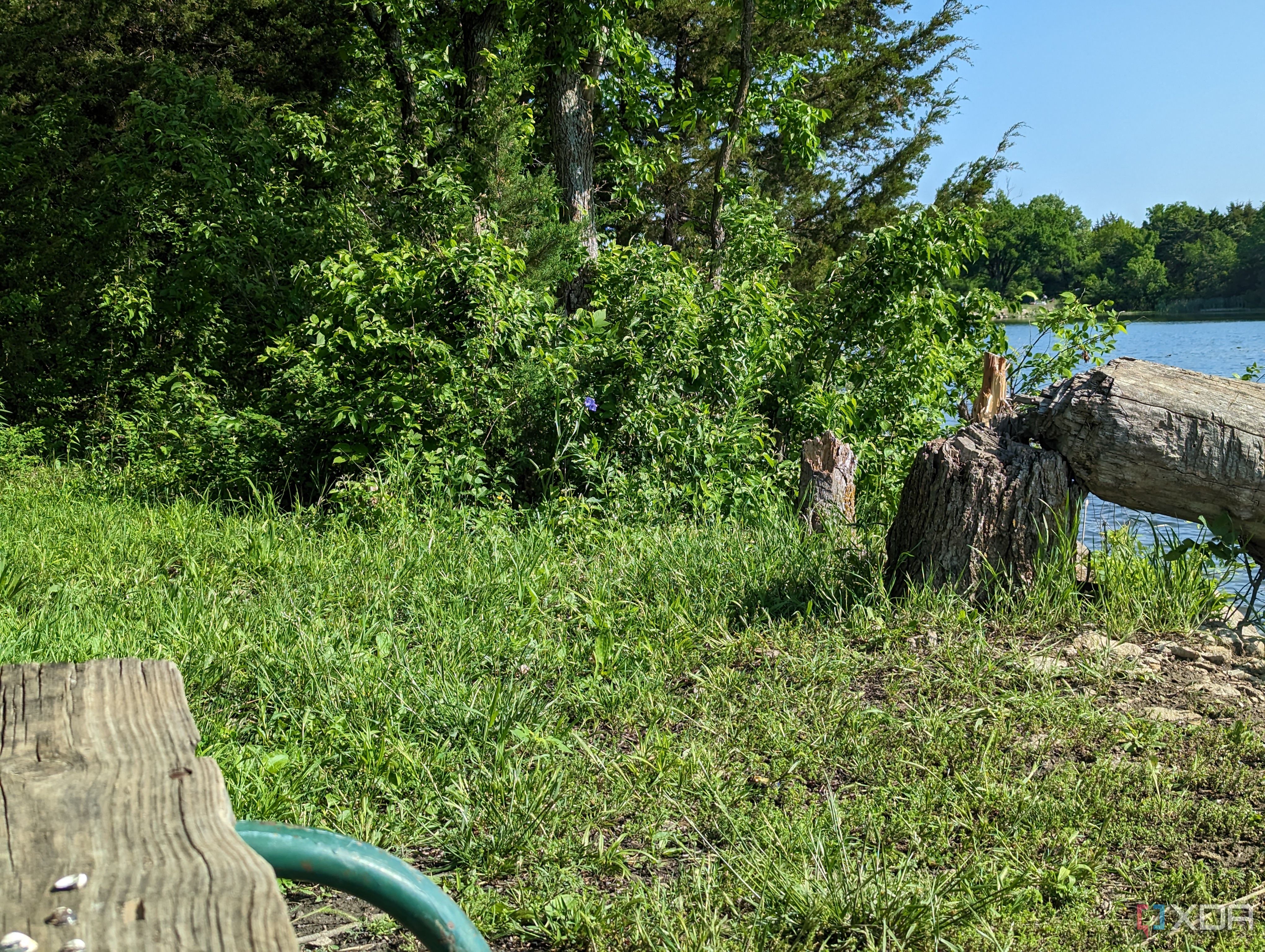 Pixel-7-Pro-photo-sample-compare-Moto-Edge+-2023 (5)