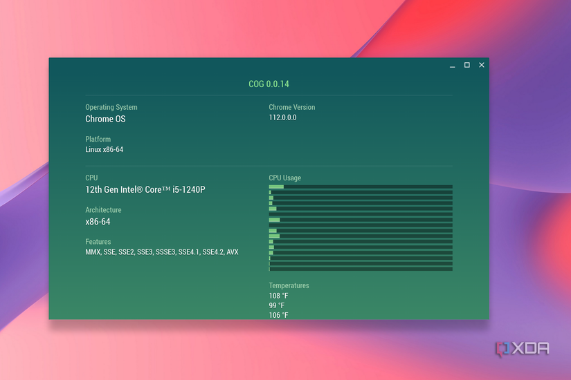 COG running in ChromeOS