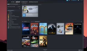 Steam Library on Windows 11
