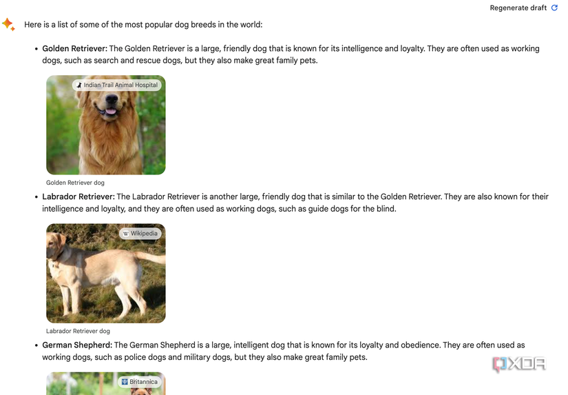 Google Bard List of Dogs