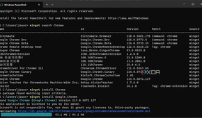 Screenshot of Windows Terminal showing download progress for Google Chrome