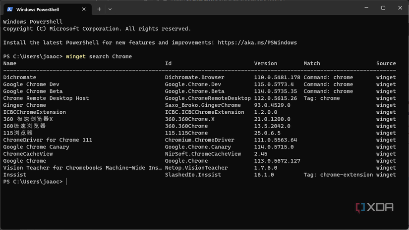 Screenshot of a search performed in Windows Package Manager, showing results for "Chrome"