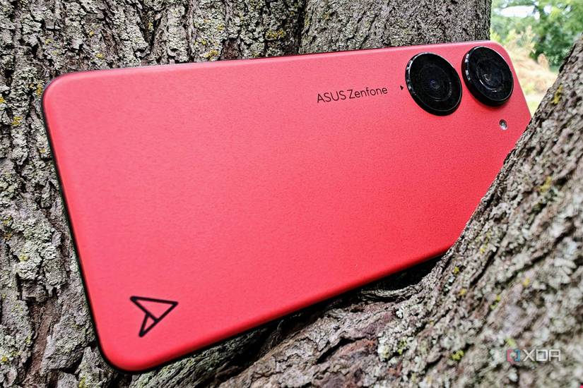 Asus Zenfone 10 in a tree showing the back of the phone