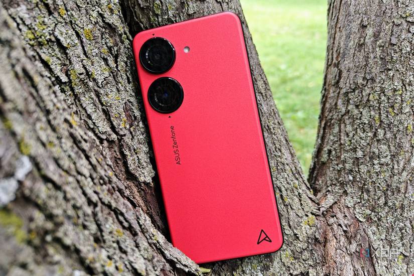 Asus Zenfone 10 in a tree showing the back of the phone