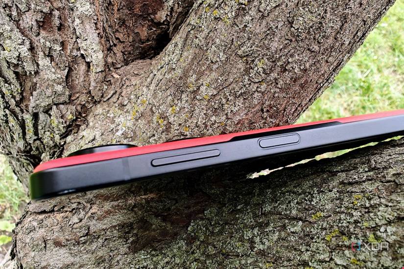 Asus Zenfone 10 in a tree showing power and volume buttons