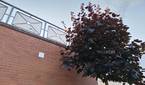 Asus-Zenfone10-photo-sample (12)