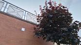 Asus-Zenfone10-photo-sample (12)