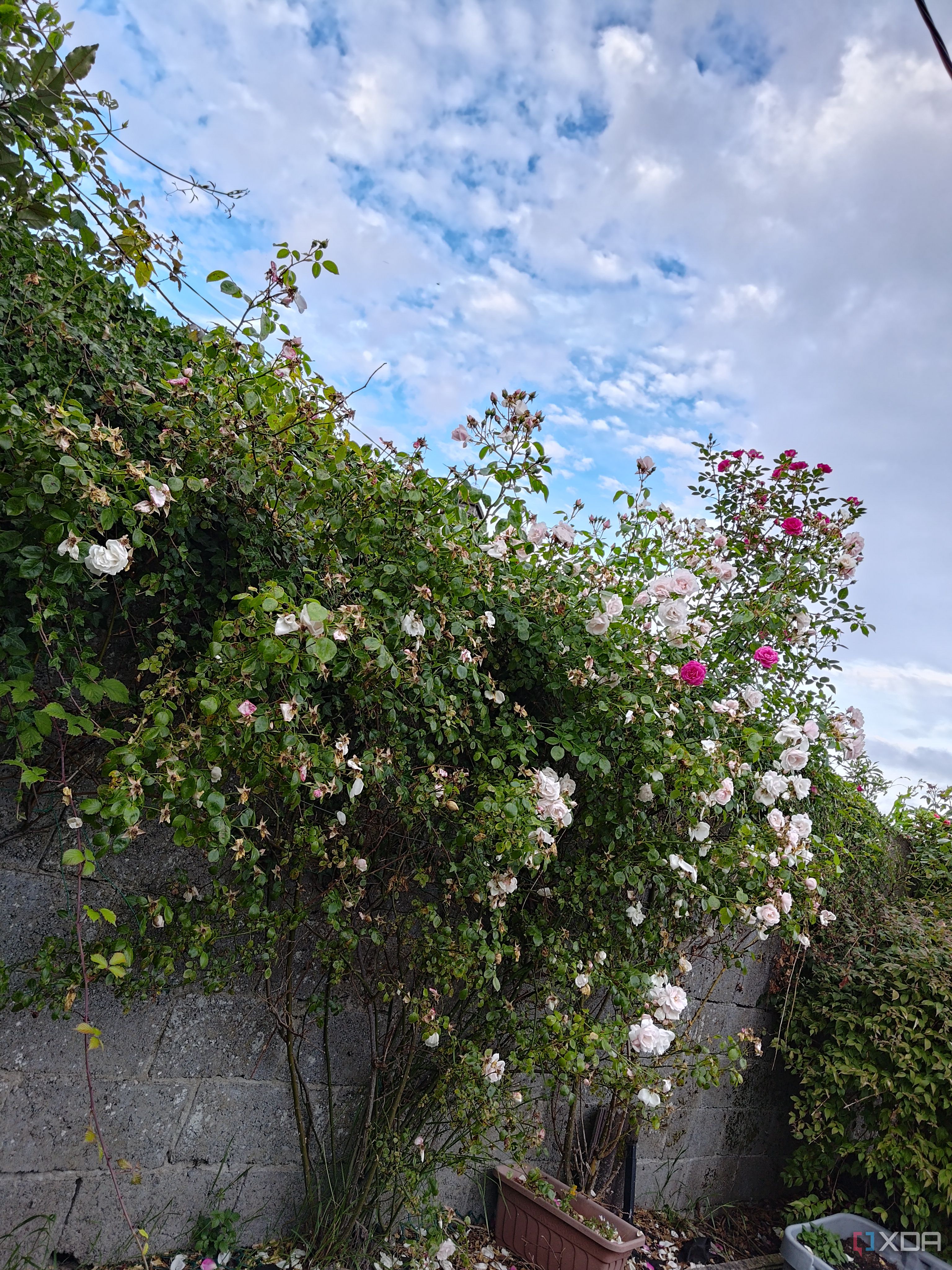 Asus-Zenfone10-photo-sample (13)
