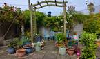 Asus-Zenfone10-photo-sample (14)