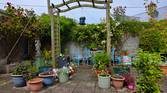 Asus-Zenfone10-photo-sample (14)