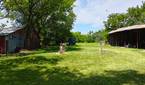 Asus-Zenfone10-photo-sample (15)