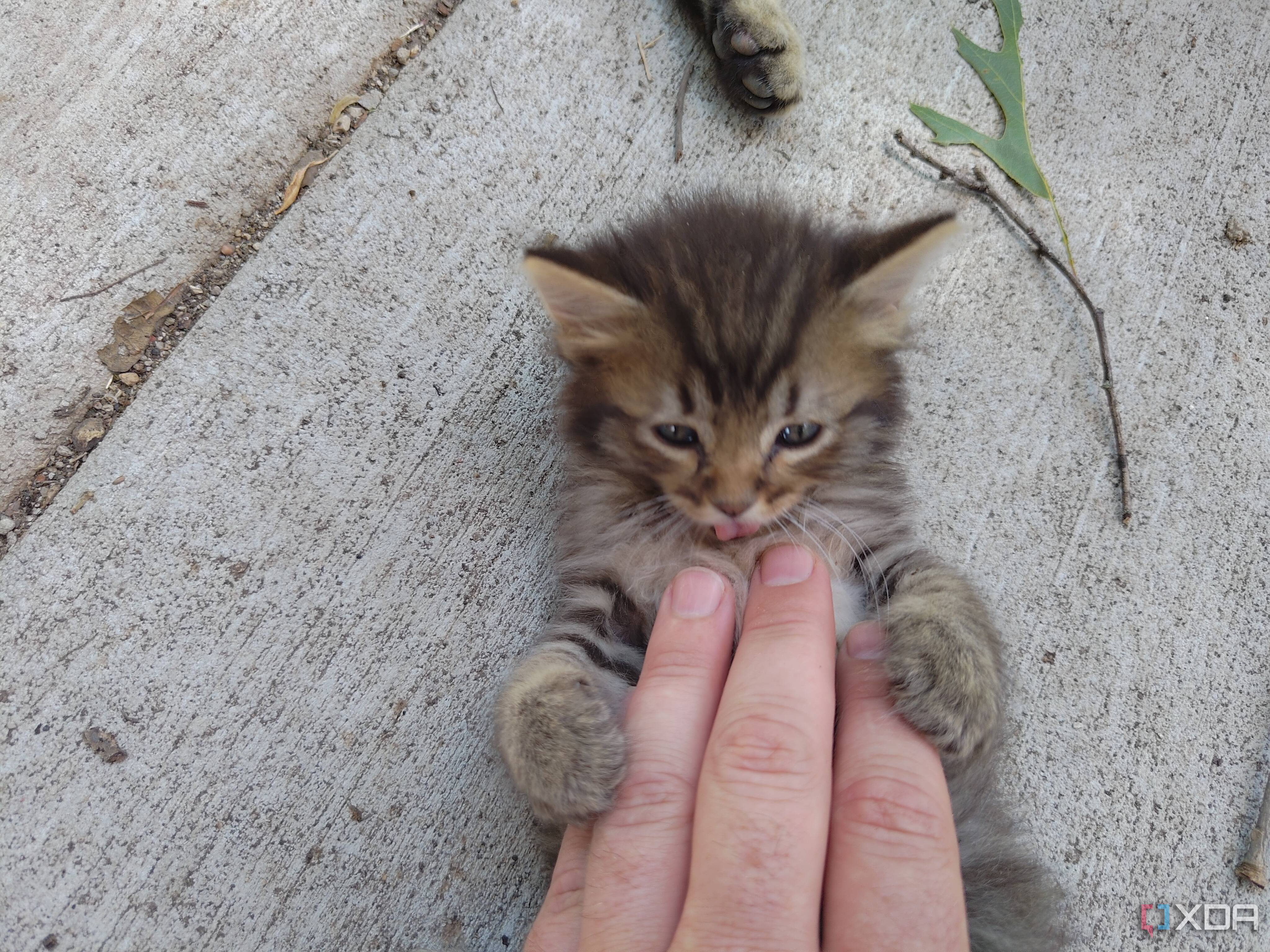Asus-Zenfone10-photo-sample (29)
