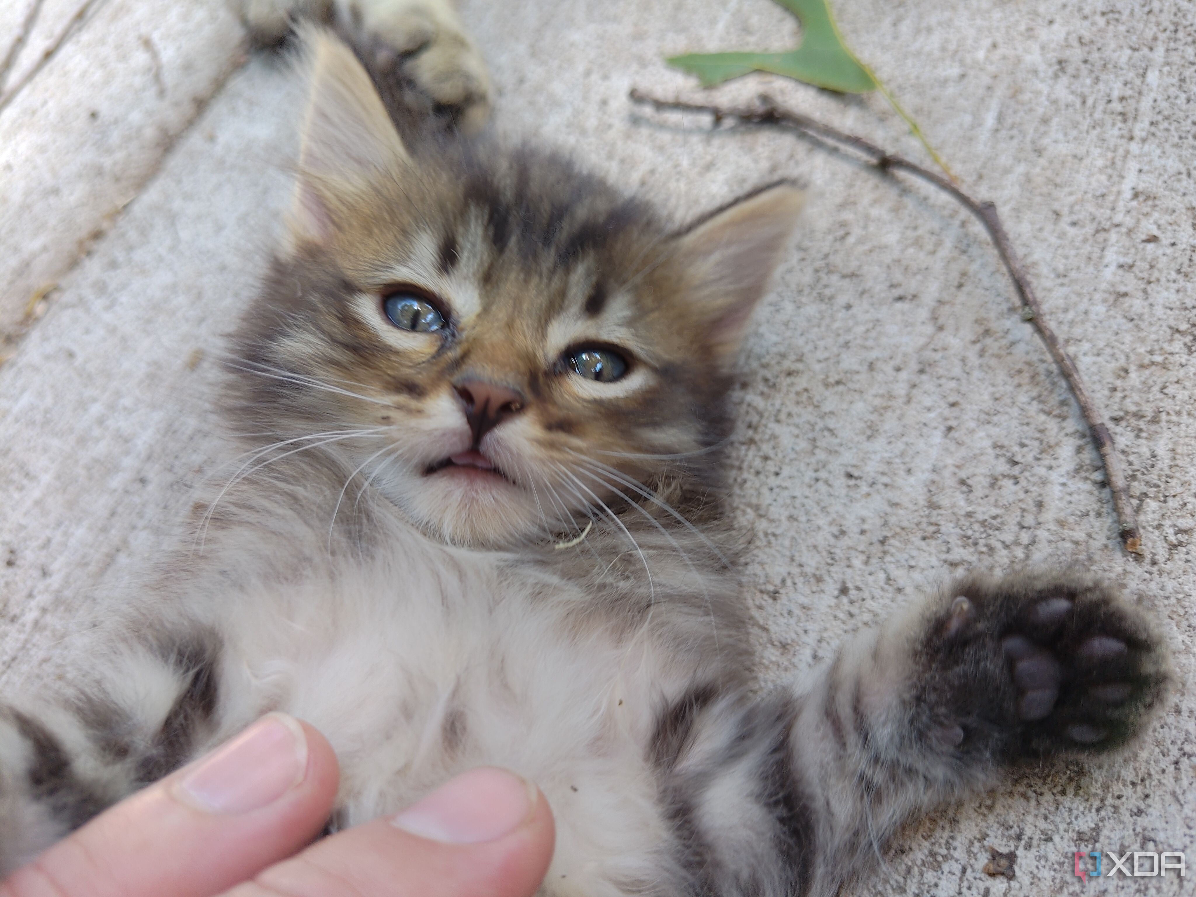 Asus-Zenfone10-photo-sample (30)