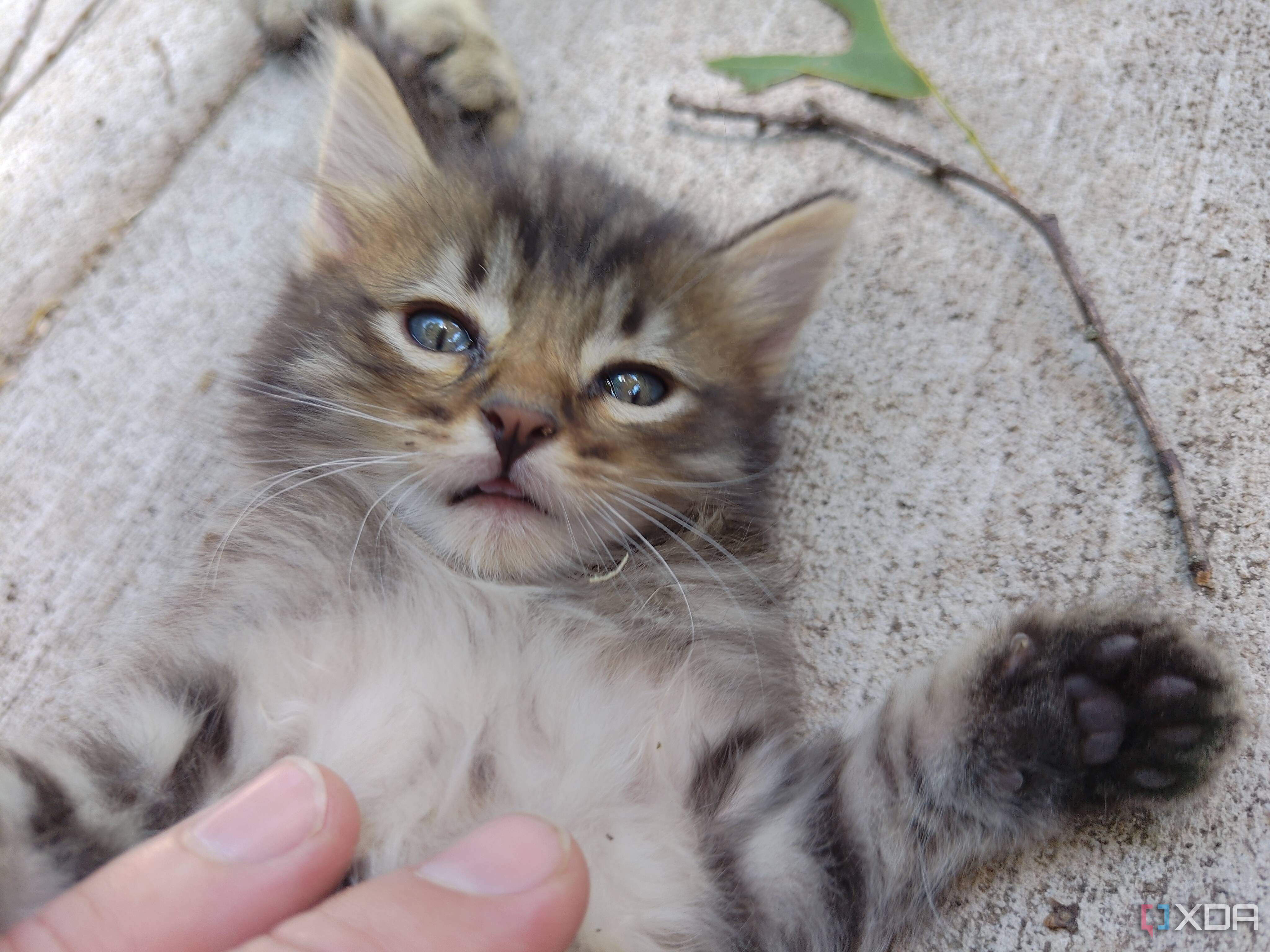Asus-Zenfone10-photo-sample (30)