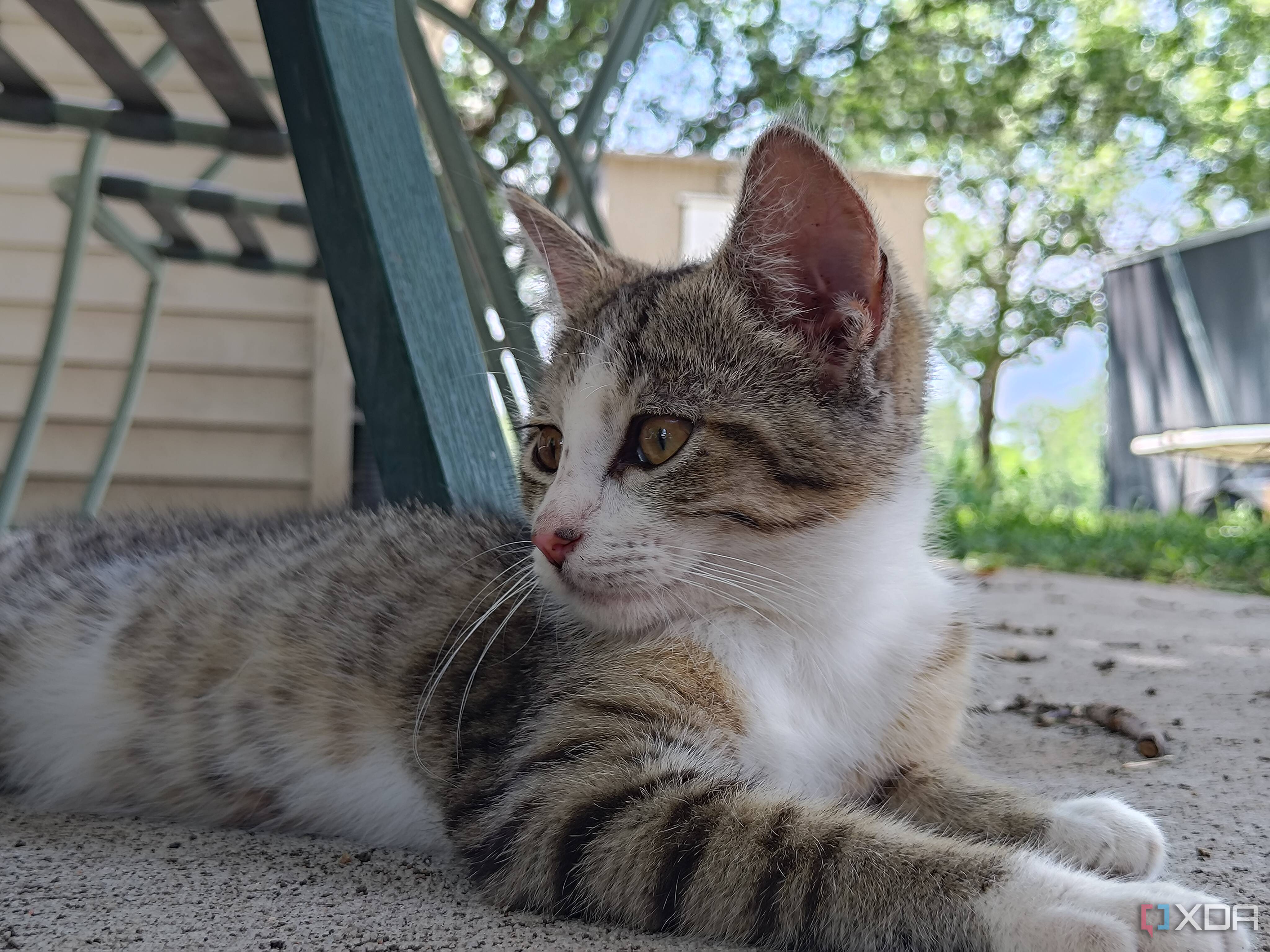 Asus-Zenfone10-photo-sample (31)