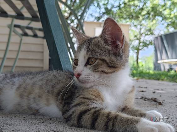 Asus-Zenfone10-photo-sample (31)