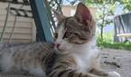 Asus-Zenfone10-photo-sample (31)