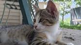 Asus-Zenfone10-photo-sample (31)