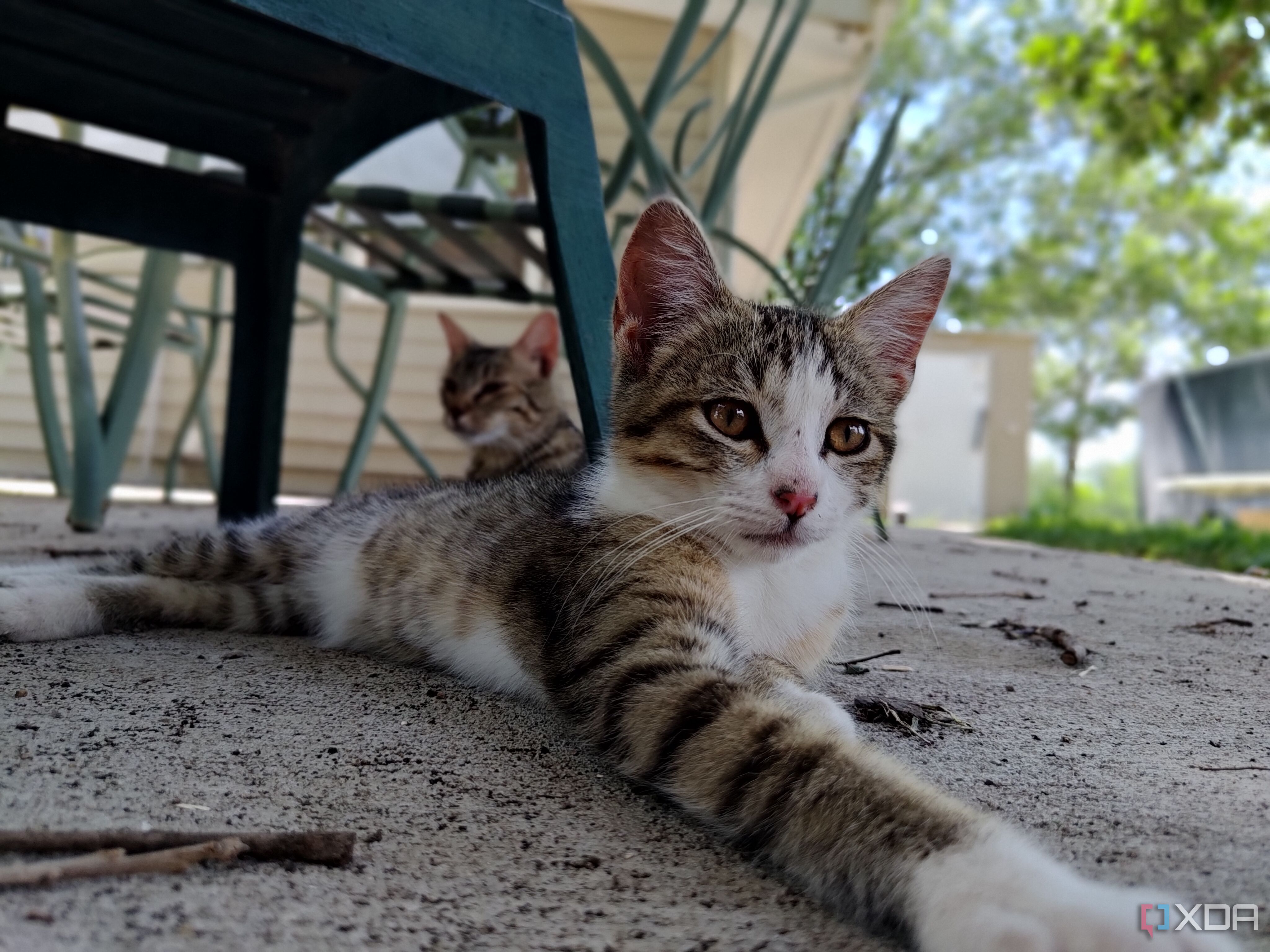 Asus-Zenfone10-photo-sample (32)