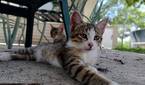 Asus-Zenfone10-photo-sample (32)