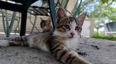 Asus-Zenfone10-photo-sample (32)