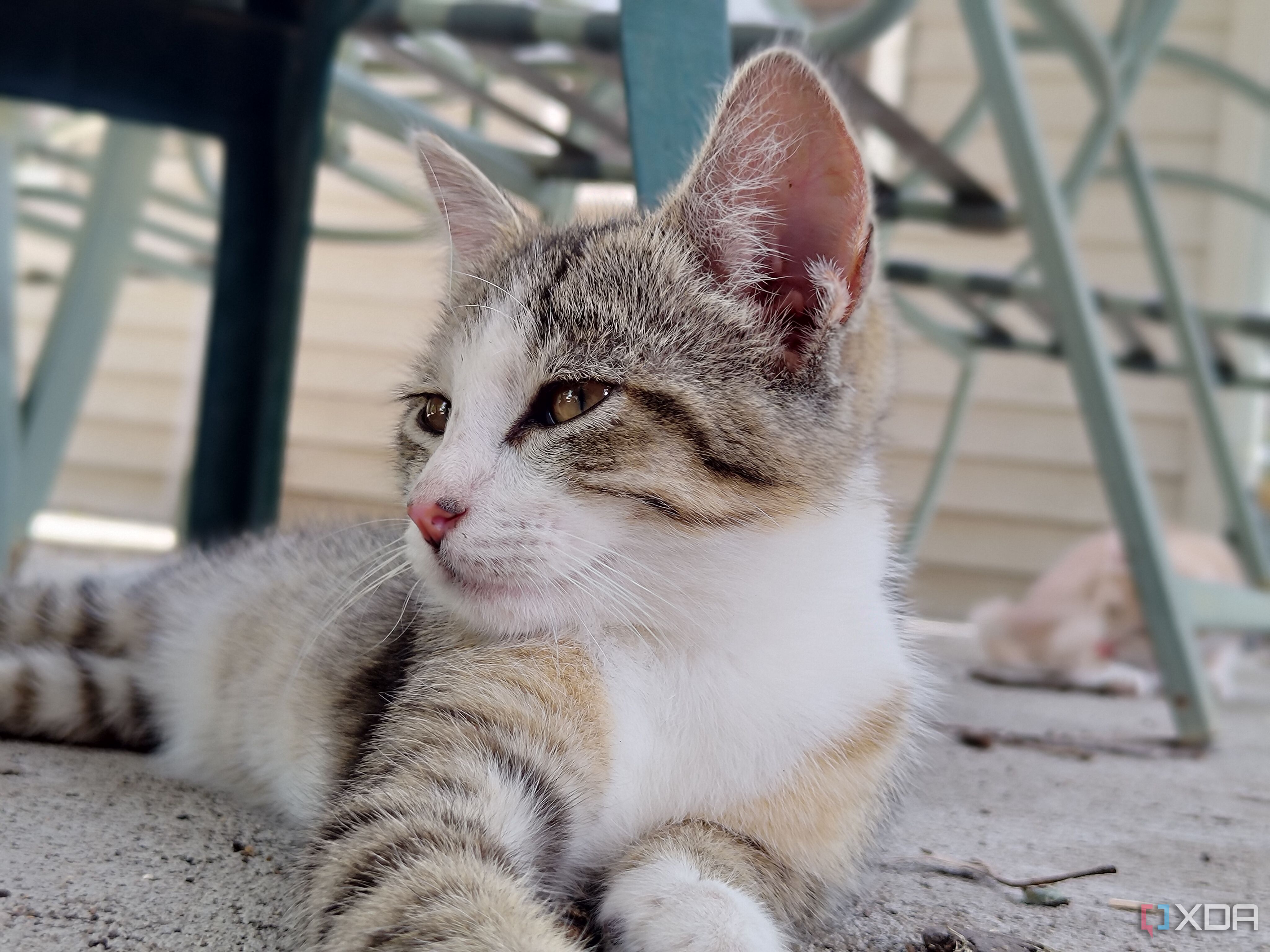 Asus-Zenfone10-photo-sample (33)