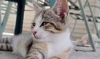 Asus-Zenfone10-photo-sample (33)