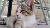 Asus-Zenfone10-photo-sample (33)