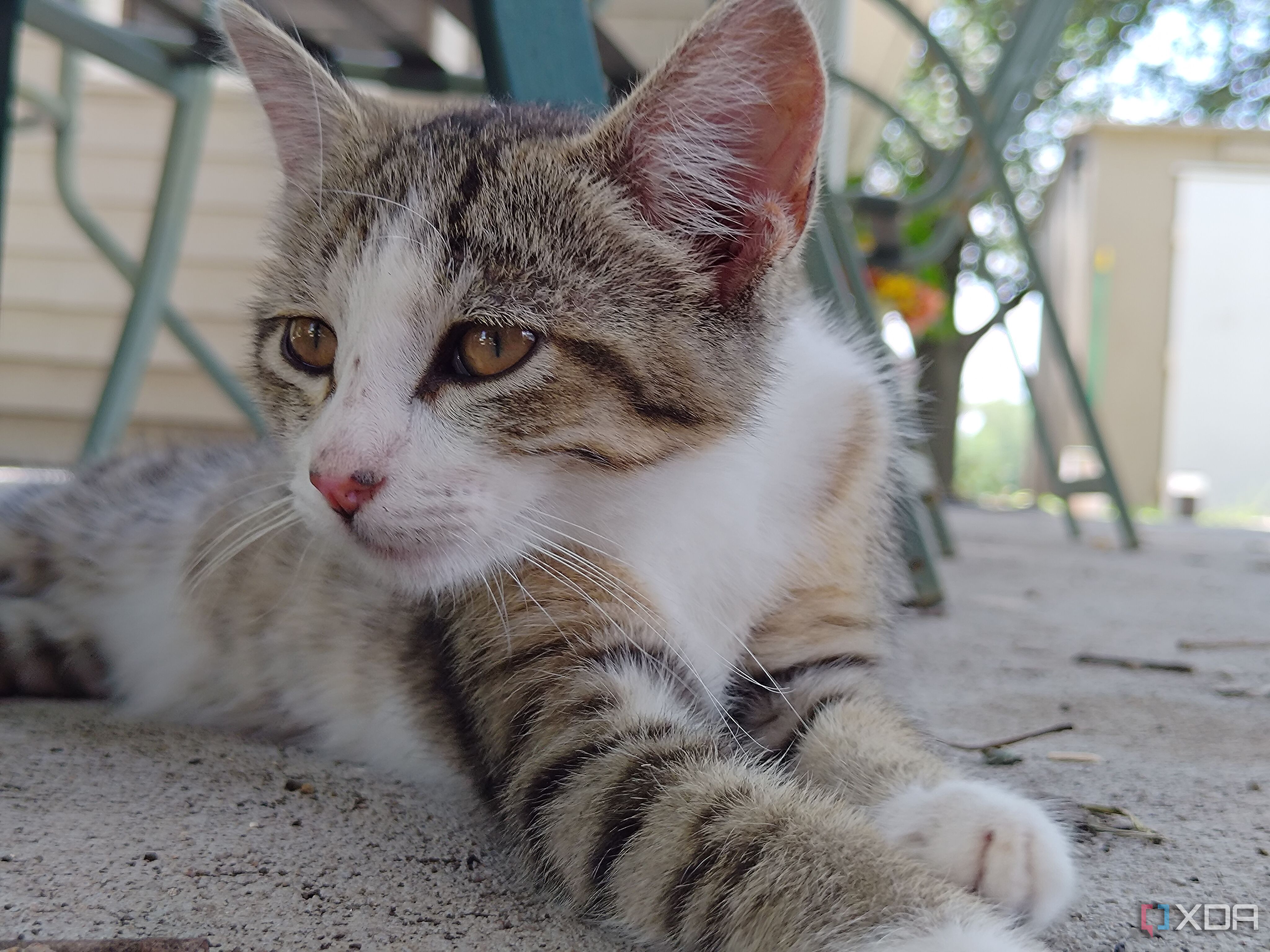 Asus-Zenfone10-photo-sample (36)
